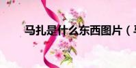 馬扎是什么東西圖片(馬扎是什么)