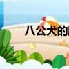 八公犬的雕像在哪里（八公犬物語）