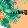 mslm是什么意思（msl指什么人）