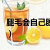 腿毛會自己脫落嗎青春期（腿毛會自己脫落嗎）