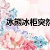 冰熊冰柜突然不制冷什么原因（冰熊冰柜）