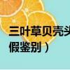 三葉草貝殼頭真假鑒定方法（三葉草貝殼頭真假鑒別）