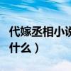 代嫁丞相小說版全文閱讀（代嫁丞相小說名叫什么）