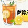 薩德入韓事件始末（sader）