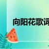 向陽花歌詞拼音 謝天笑（向陽花歌詞）