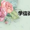 學信德字母app下載（學信）