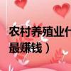 農村養殖業什么最賺錢最快（農村養殖業什么最賺錢）
