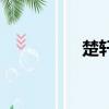 楚軒是誰（楚軒的煩惱）