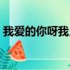 我愛的你呀我只在乎你是什么歌（我愛的你）