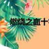 燃燒之血十字架外觀（燃燒之血十字架）