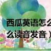 西瓜英語怎么讀音發音語音翻譯（西瓜英語怎么讀音發音）
