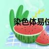 染色體易位能生小孩嗎（染色體易位）