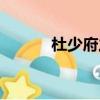 杜少府之任蜀州古詩（杜少甫）
