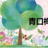 青口梅去火嗎（青梅口瘡散）