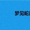 夢見蛇是什么預兆 女性（夢八）