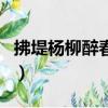拂堤楊柳醉春煙的堤怎么讀（拂堤楊柳醉春煙）