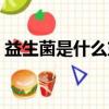 益生菌是什么東西做的（益生菌是什么東西）
