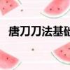 唐刀刀法基礎十三式分解教學（唐刀刀法）