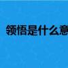 領悟是什么意思?簡單點（領悟是什么意思）