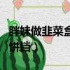 胖妹做韭菜盒子的電餅鐺（韭菜盒子的做法電餅鐺）