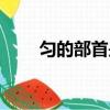 勻的部首是什么怎么讀（勻的部首）