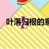 葉落歸根的意思和造句（葉落歸根的意思）