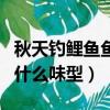 秋天釣鯉魚魚用什么味的餌料（秋季釣鯉魚用什么味型）