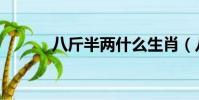 八斤半兩什么生肖(八斤半兩)