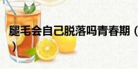 腿毛會自己脫落嗎青春期(腿毛會自己脫落嗎)