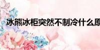 冰熊冰柜突然不制冷什么原因(冰熊冰柜)