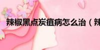 辣椒黑點炭疽病怎么治(辣椒黑點炭疽病)