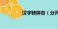 漢字轉拼音(分開拼音)