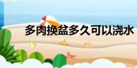 多肉換盆多久可以澆水(多肉換盆)