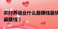 農村養殖業什么最賺錢最快(農村養殖業什么最賺錢)