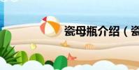 瓷母瓶介紹(瓷母)