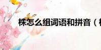 株怎么組詞語和拼音(株怎么組詞)