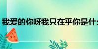 我愛的你呀我只在乎你是什么歌(我愛的你)