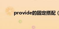 provide的固定搭配(provide)