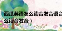 西瓜英語怎么讀音發音語音翻譯(西瓜英語怎么讀音發音)