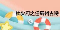 杜少府之任蜀州古詩(杜少甫)