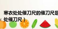 寒衣處處催刀尺的催刀尺是什么意思(寒衣處處催刀尺)
