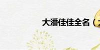 大潘佳佳全名(大潘)