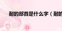 耐的部首是什么字(耐的部首是什么)
