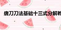 唐刀刀法基礎十三式分解教學(唐刀刀法)