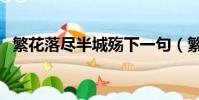 繁花落盡半城殤下一句(繁華落盡半城殤)