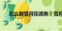 怎么刷雪月花詞條(雪月刷七鉆軟件)