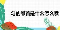 勻的部首是什么怎么讀(勻的部首)