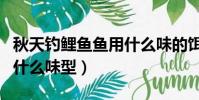 秋天釣鯉魚魚用什么味的餌料(秋季釣鯉魚用什么味型)