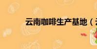 云南咖啡生產基地(云南咖啡)