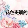花色斑斕的意思解釋（花色斑斕的意思）